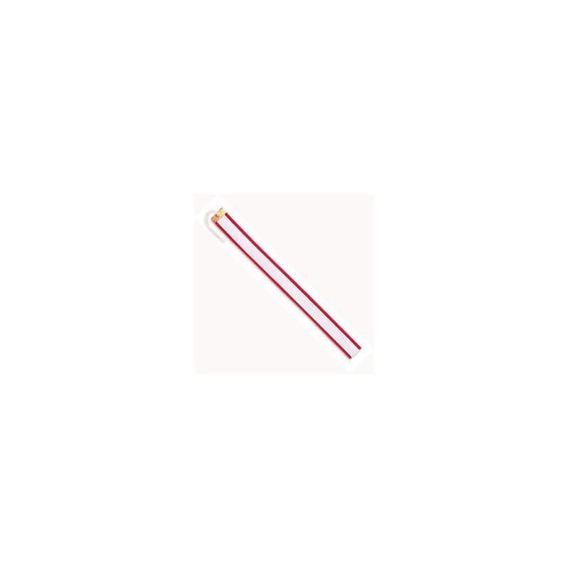 Trophy Ribbon S (Small Pennant) (38 X 300 Mm) 10 Pieces