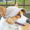 Casquette de Baseball Mode pour Grand Chien Casquette de Soleil Réglable en Velours côtelé Durable pour Animaux de Compagnie pour Chiens Petits Moyens Grands Golden Retriever Corgi Accessoires