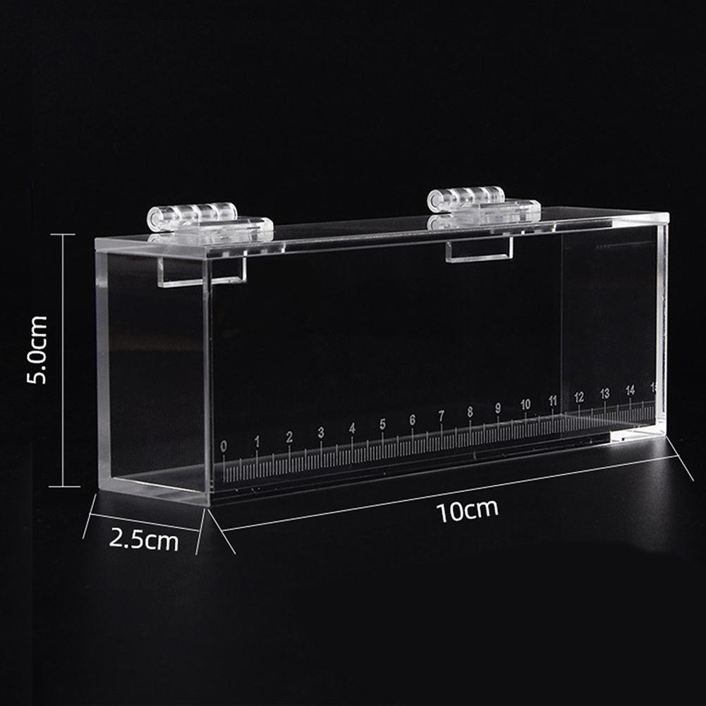 1pc Fish Viewing Box High Clear With Scale Fish Box Fish Tank For Bitterling Gobies Home Aquariums Acrylic Fish Viewing Box
