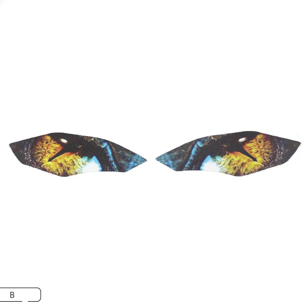 BMW R1200GS Headlight Sticker Film (2015-2018) - Horizon Design