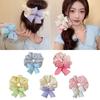 Large Elastic Elastic Fabric Hair Ties Bowknot Hair Scrunchies  High Aesthetic Value