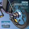 Fafrees F20+ Pro Sammenleggbar Elektrisk Sykkel, 250W Motor, 36V 22.5Ah Batteri, 20*3.0 tommers Dekk, 25km/h Maks Hastighet