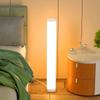 Vertical floor lamp with ins style living room sofa, plug-in ambient light, Nordic minimalist remote control bedside lamp