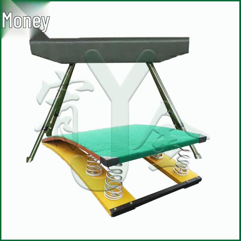 Gymnastics Training Vaulting Horse and Springboard Set