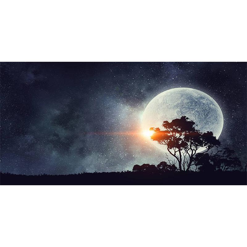 

5D Алмазная картина Ночной лунный пейзаж DIY Полная алмазная вышивка Настенная живопись Гостиная Спальня Вышивка крестом Украшения Full Round 50x100CM