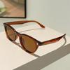 Cat Eye Sunglasses Women New in Korean Style Gradient Casual Shades Trendy Luxury Brand Design Outdoor Decor Sun Glasses