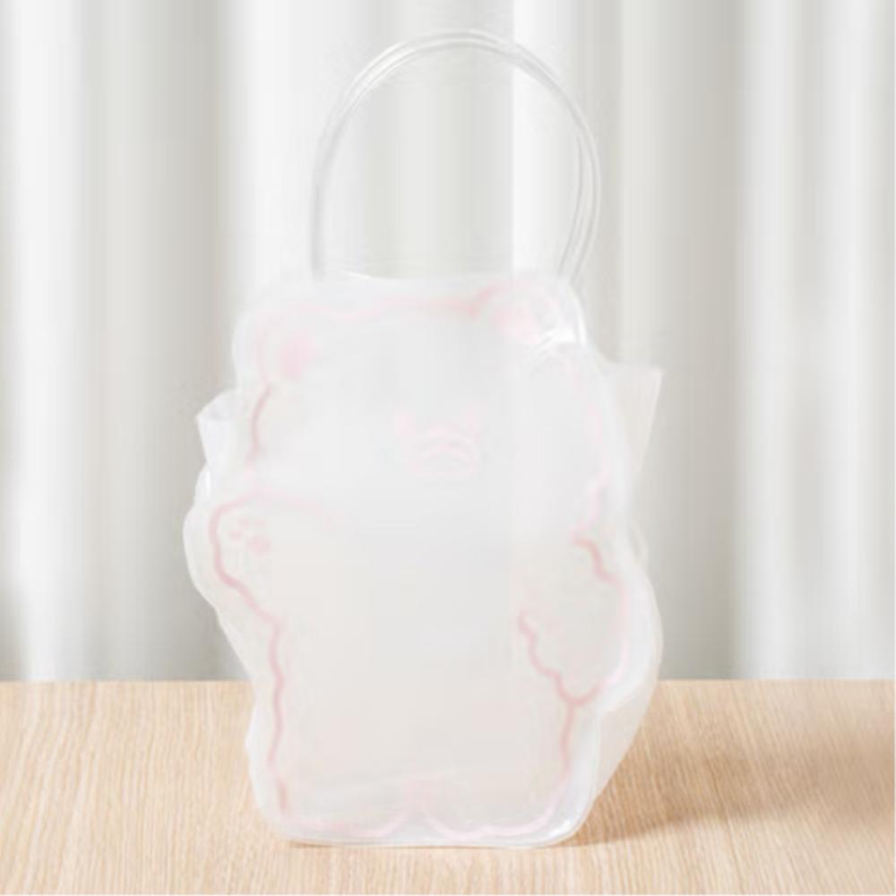Teddy Bear Transparent Bag