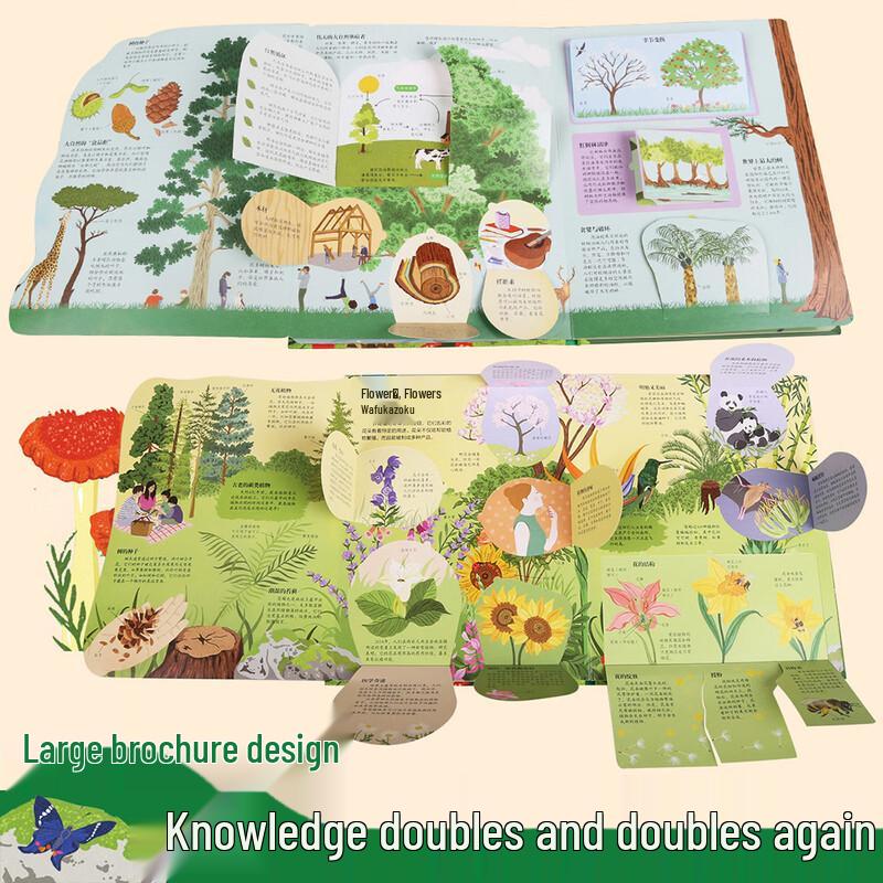 Children's Nature & Science Flip Book Set (3 Books)