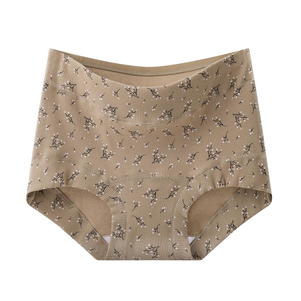Damen Frühling und Herbst Retro Floral Antibakteriell Verlängert Reine Baumwolle Zwickel Überzug Hüfte Flacher Winkel Slips