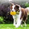 Funny Bite-resistant Pineapples Dog Puzzle Wear-resistant Yellow Pet Sound Making Interactive Dog Chew Grinding Teeth