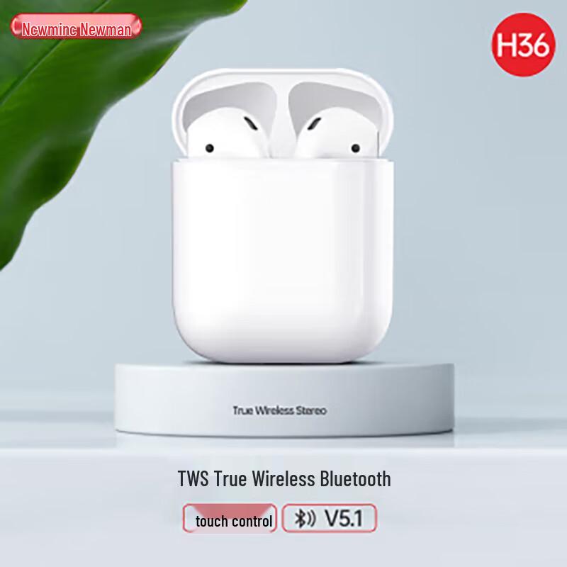 

Newmine H36 True Wireless Active Noise Cancelling Earbuds