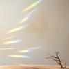 44 Pcs Window Clings Circles Stars Clouds Anti Collision Window Stickers Sun Catcher Stickers for Bird Strikes