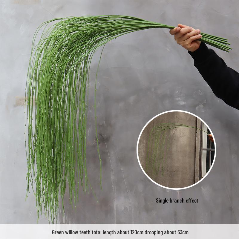 Asparagus Fern & Willow Buds Greenery for Wedding Decor & Landscaping