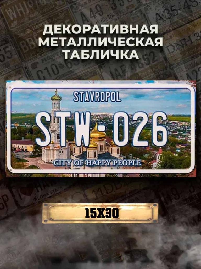 Voronezh Russia Souvenir License Plate 15x30cm, Metal Car Decor Gift