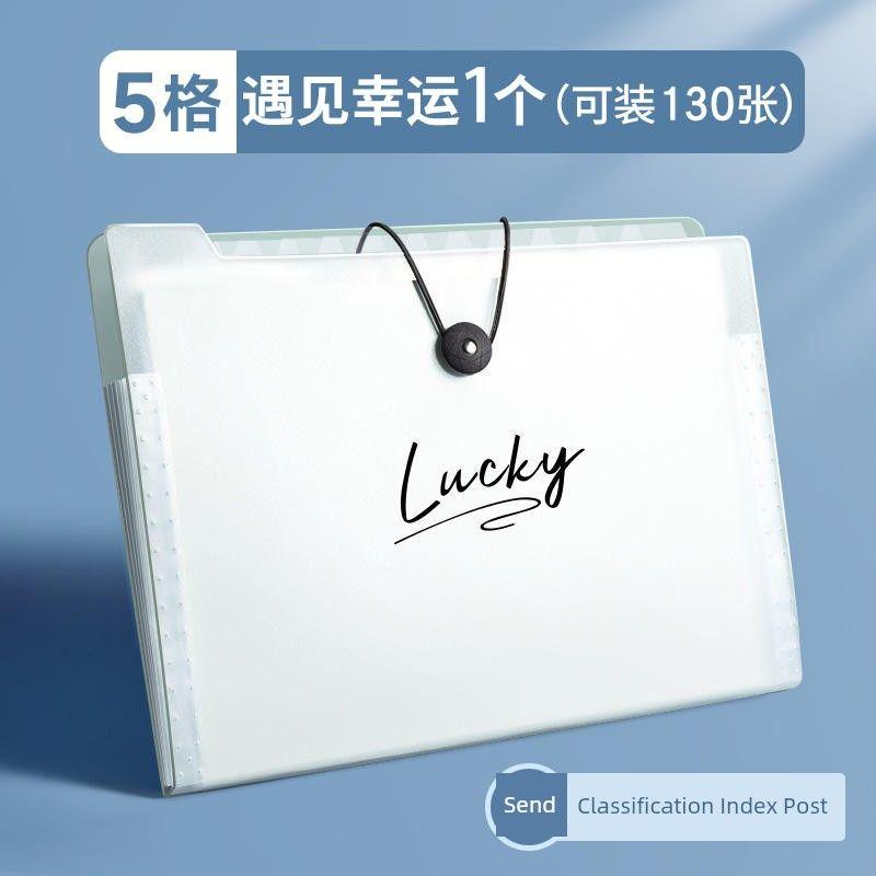 Large Capacity File Holder Ins Good-looking Paper Buggy Bag Organize Fantastic Middle School Students Book Clip Subject Classification Test Paper Clip