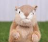Peluche da Lancio Ghiro Reale Più M