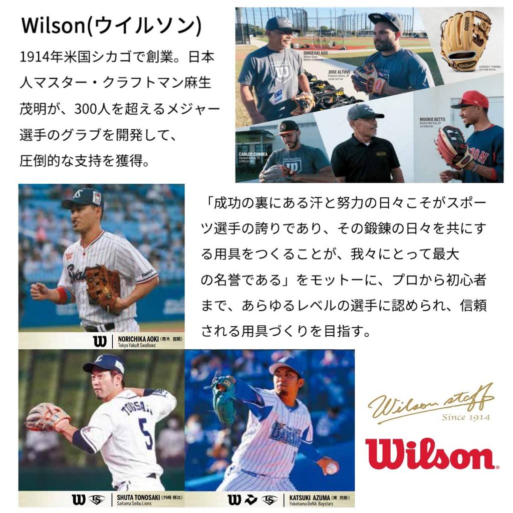 Wilson Baseball Gear Bag, Rolling Bag with Removable Pocket Cover, Rolling Wheels, and YKK Zipper (WB5751701)