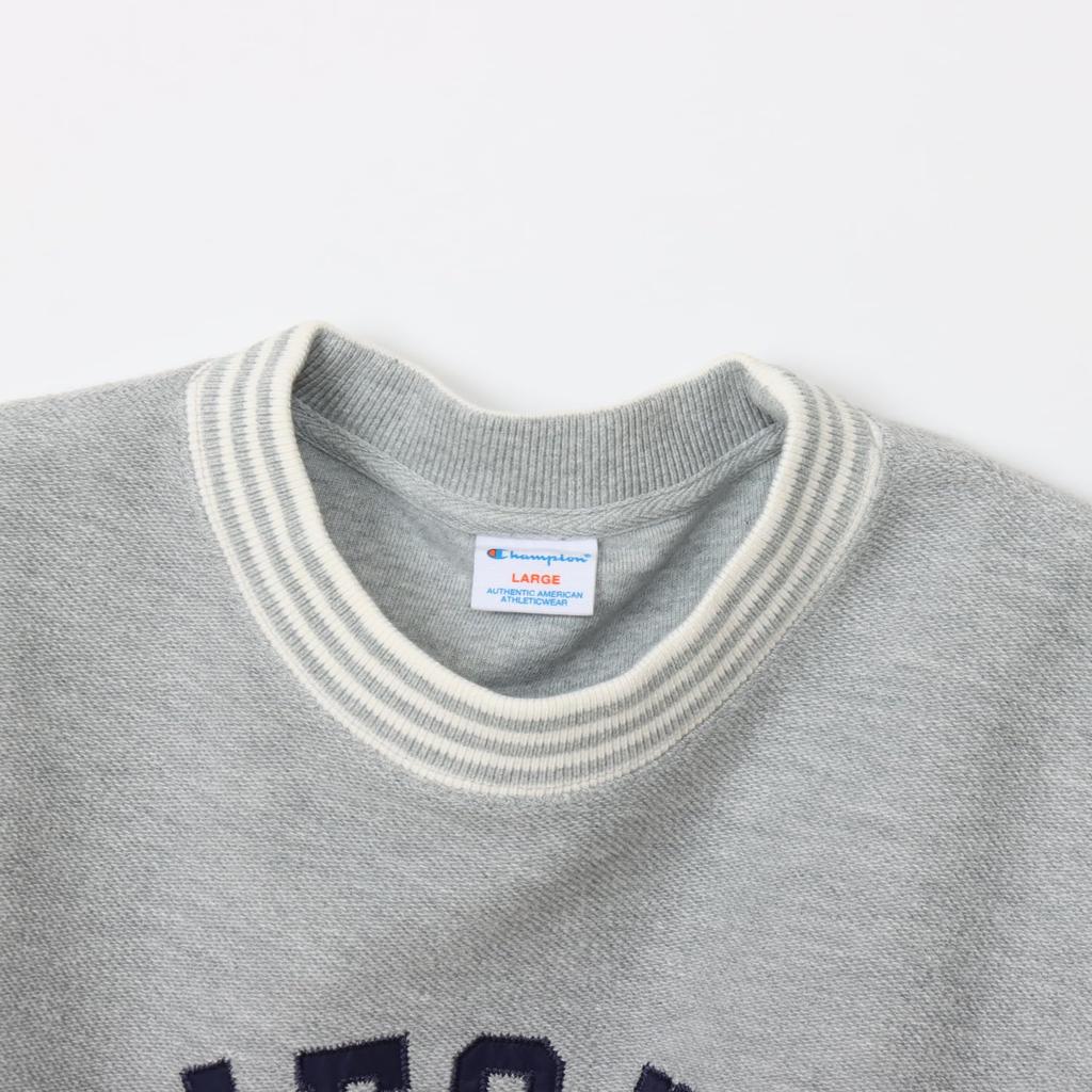 Champion Long Sleeve RelaxFit Satin Crew Oxford Men's Sweatshirt, 100% Cotton, Fleece-Lined, Appliqué Neck, Gray, C3-A002