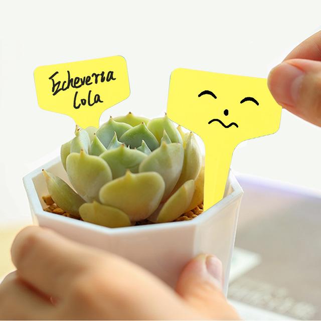 50/100/300ks Zahradnické rostlinné štítky ve tvaru T Vodotěsné štítky Květiny Zelenina Nástroje pro značení výsadby farma zahradní Nádoby na sazenice značkovací nástroje