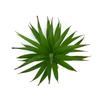 Exquisite Simulated Succulent Plant Plastic Leaves And Simulated Water