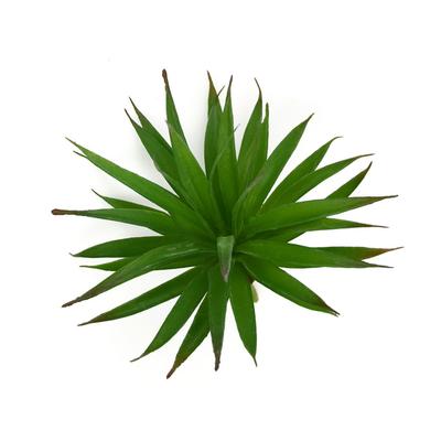 Exquisite Simulated Succulent Plant Plastic Leaves And Simulated Water