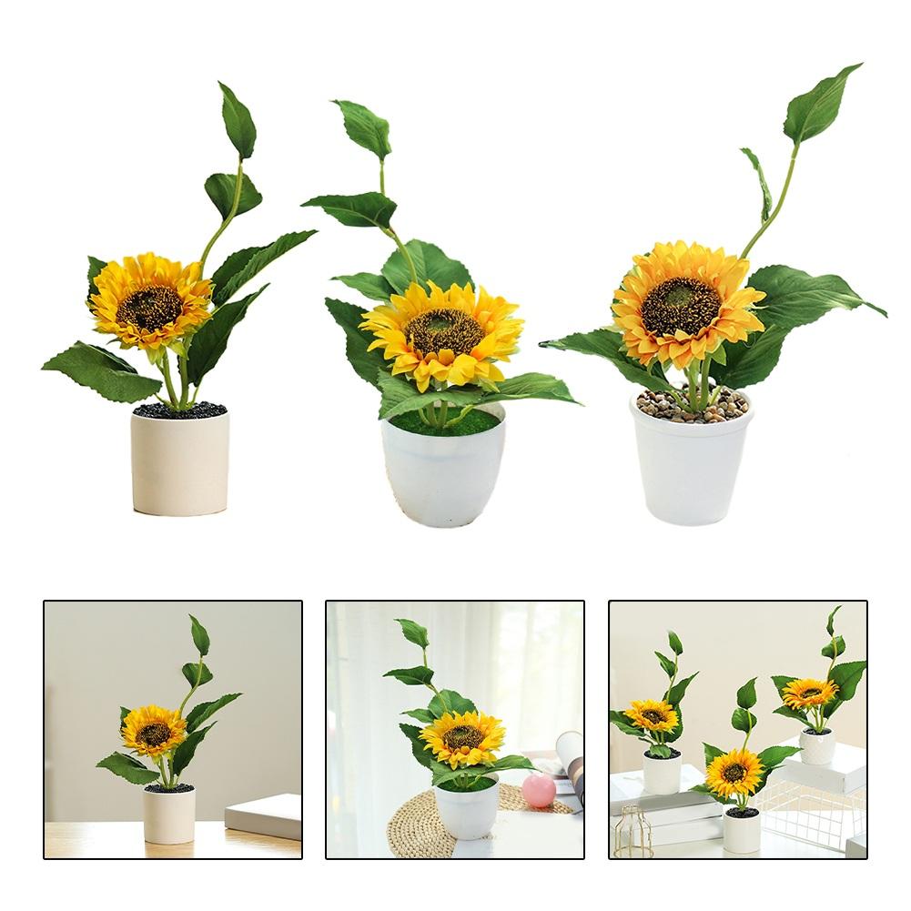 Plantă în ghiveci Floarea-soarelui Nunți Case Won T Fade Lively