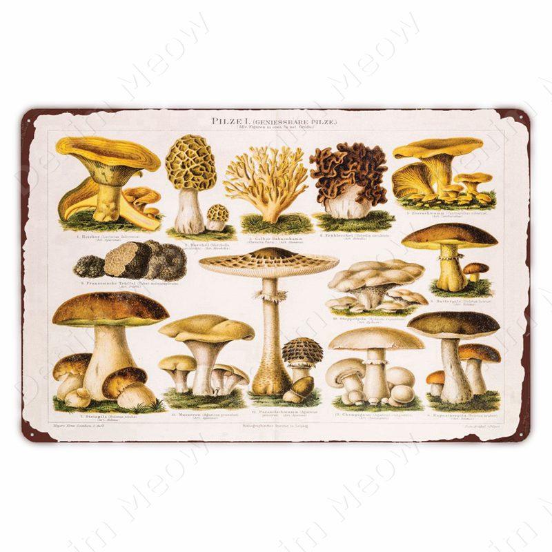 VintageWildFlowersMetalSign Vintage Metal Tin Sign - Wild Flowers Plant Herbarium Art Plaque, Kitchen/Home Wall Decor