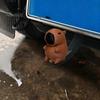 Capybara Anhängerkupplungsabdeckung 3D Gedruckte Abdeckung, Dekorative Anhänger Staubkappe, 50mm Anhängerkupplungsschutz, Wohnmobil LKW Zubehör Geländewagen