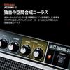 Roland/JC-22 Roland Guitar Amp Jazz Chorus 30W