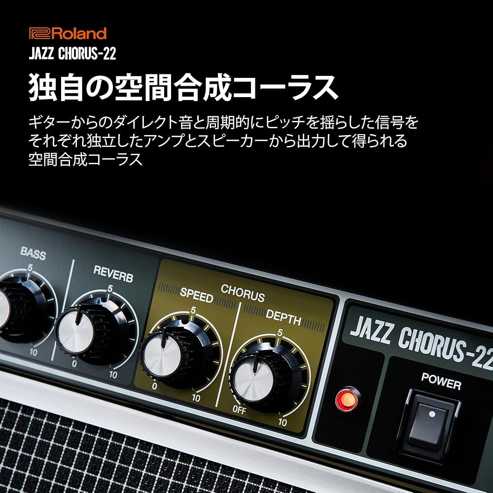 Roland/JC-22 Roland Guitar Amp Jazz Chorus 30W