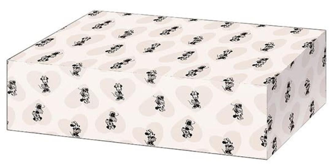 

Bushiroad Storage Box Collection V2 Vol.169 Disney Minnie Mouse