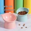 High-Footed Slanted Cat & Dog Bowl - Non-Slip, Anti-Tip Design for Neck Protection