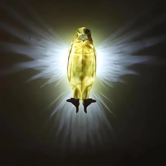3D Animal LED Wall Lamp Night Light Low Power Consumption Flicker Free Easy Installation Indoor Outdoor Bald Eagle Wall Light Owl Lamp