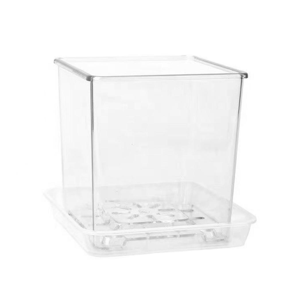 Clear Breathable Plant Container Desktop Ornament Planter Plant Pot Crafts Decors Planter Landscape Crafts