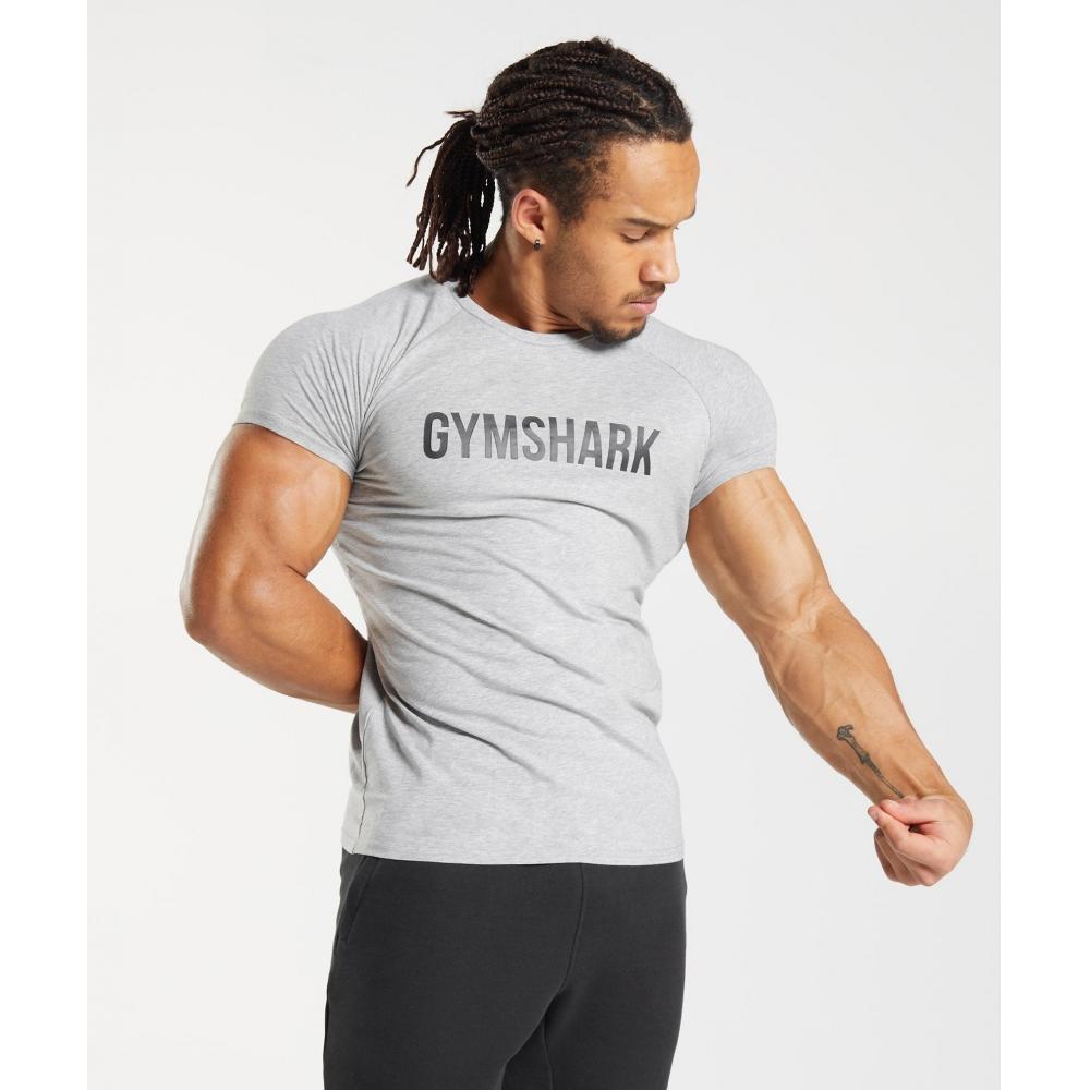 

Футболка GYMSHARK Apollo Светло-серый меланжевый A1A3D GBCN 3XL