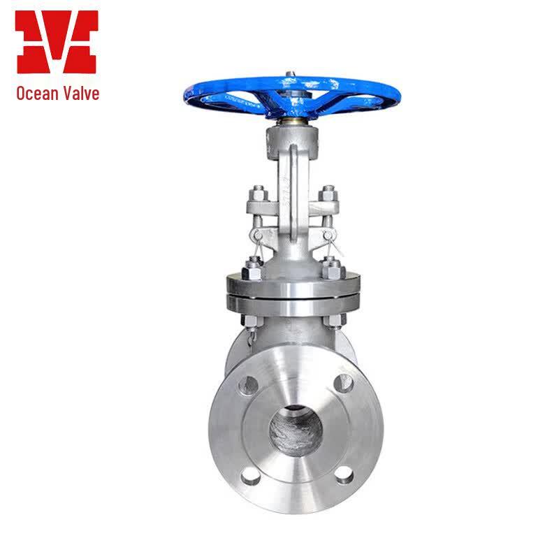 Jiangsu Yuanyang Z41W Stainless Steel Flanged Gate Valve