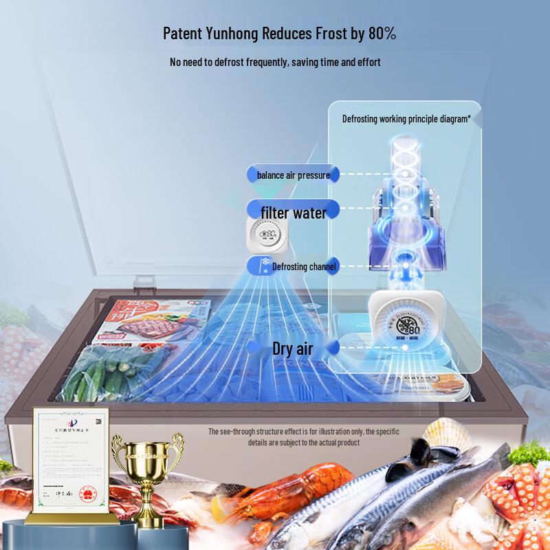 HISENSE 200L Convertible Chest Freezer