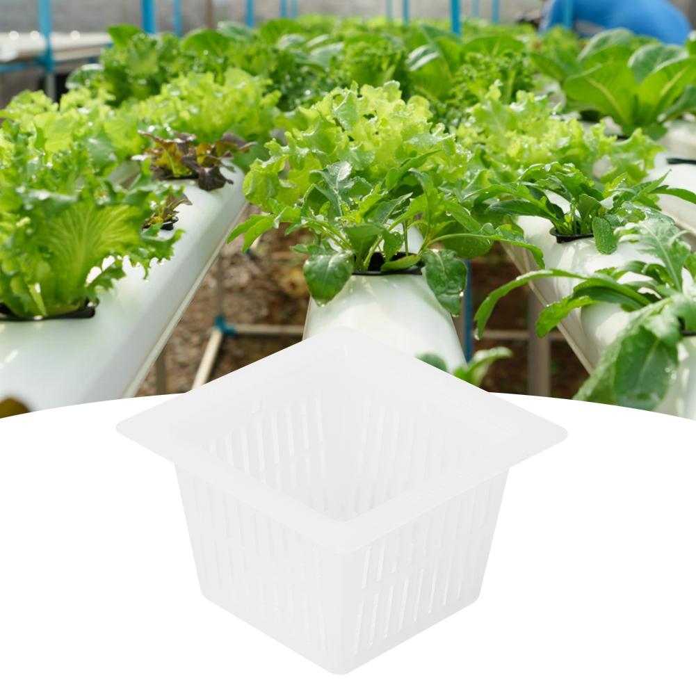50 Pezzi Vaso a Rete per Idroponica Coltivazione Senza Suolo Cesto per la Crescita di Fiori e Piante