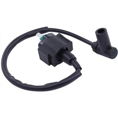 Ignition Coil 30510-HA0-000 Fit for Honda ATC250ES ATC250R ATC250SX 1985-1987