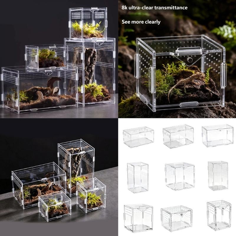 Klare Lebensraumbox für kleine Reptilien Tiere, Beobachtungsfenster Acrylgehege Belüftetes Design mit seitlichen und oberen Luftöffnungen