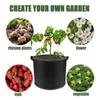 1PC Fabric Plant Pots Grow Bags 10 Gallon Gardening Vegetable Tomato Strawberry Growing Planter Containers with Sturdy Handles