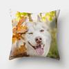 1 Stuk Hond Patroon Kussenhoes Sofa Huisdecoratie Auto Kantoorbenodigdheden Buitenkussen