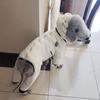 Fashion Waterproof Winter Dog Jumpsuit Fleece Warm Full Cover Winter Dog Jacket Thickened Big Pet Outfits Large Dog