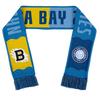 Tampa Bay Lightning NHL Logo Scarf