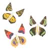 5/6/10pc Flying in the Book Fairy Rubber Band Powered Wind Up Great Surprise Birthday Wedding Card Gift Butterfly Card Magic Toy