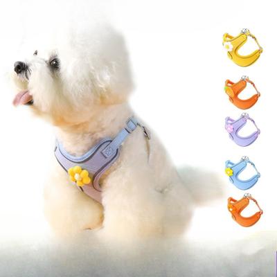 Cani – Collari e guinzagli per cani