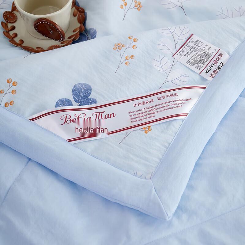 BGM Glutinous Cotton Antibacterial Skin-Care Quilt