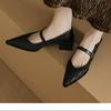 Thick Heel Pointed French Mary Jane Shoes Spring New Shallow Mouth Single Shoes with Skirt