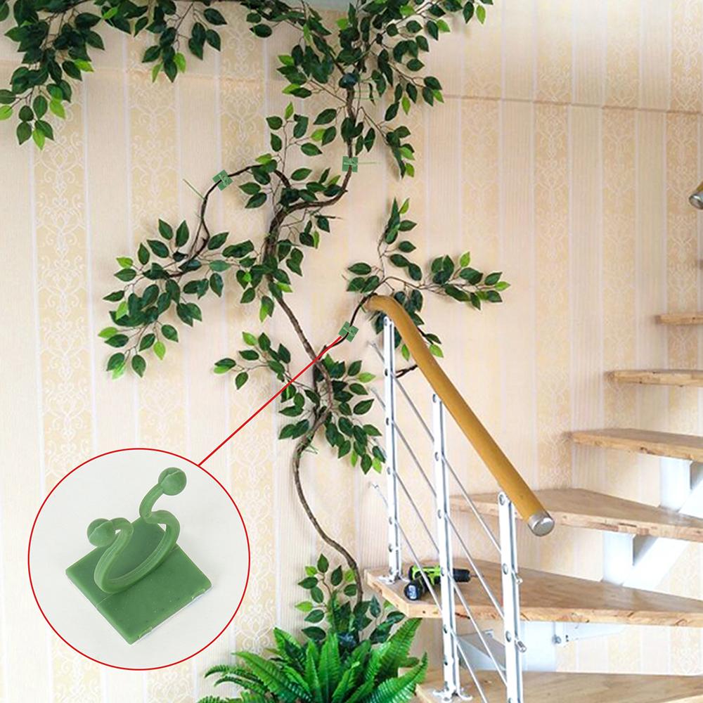 Wall Vine Plants Wall-mounted Green Plant Fixation Green Radish Wall Climbing Suction Cup Hook Hydroponic Indoor