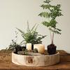 Wabi-Sabi Paulownia Wood Round Tray: Solid Wood Snack & Fruit Plate, Coffee Table Ornament